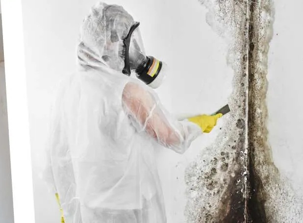 mold damage San Luis Obispo County